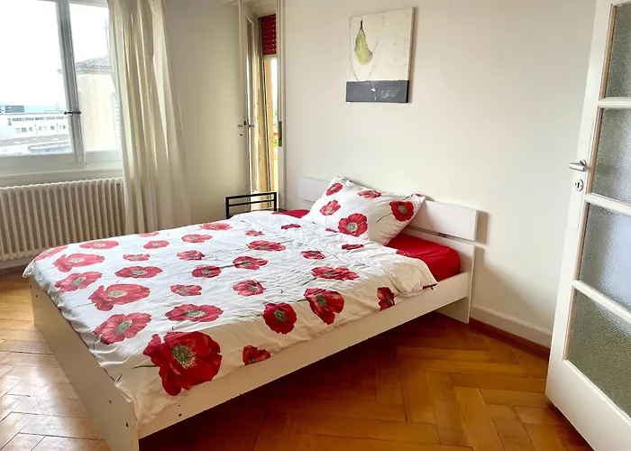 Grand De 3 Appartamento Losanna